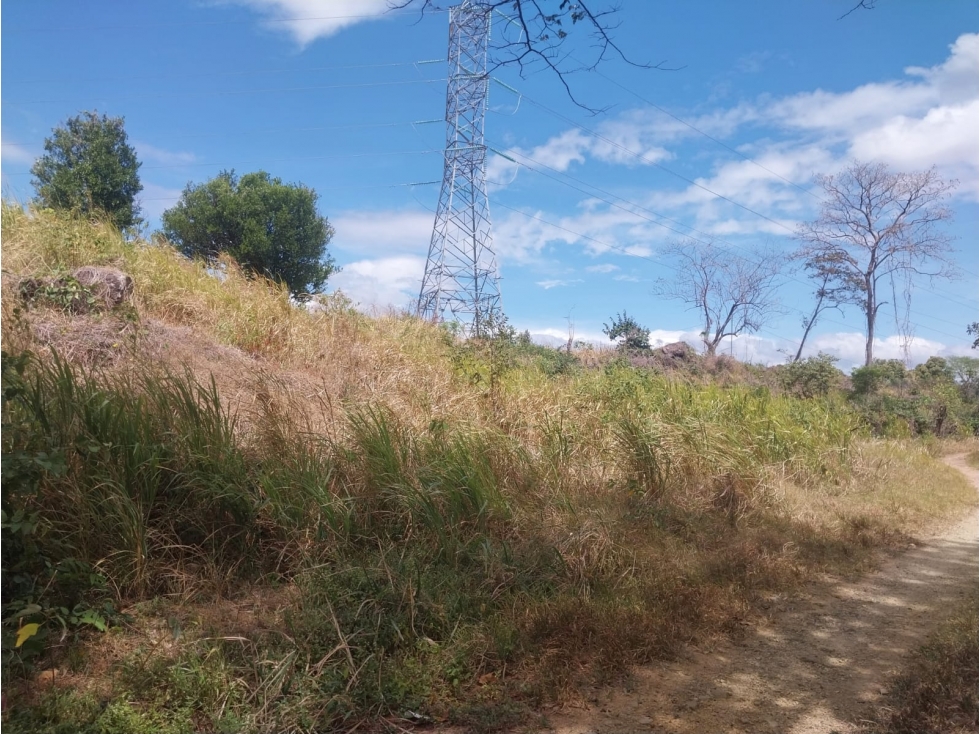 Terreno con 160+mts2 en frente a la via el Copé, Penonomé 2.1 HA - 5