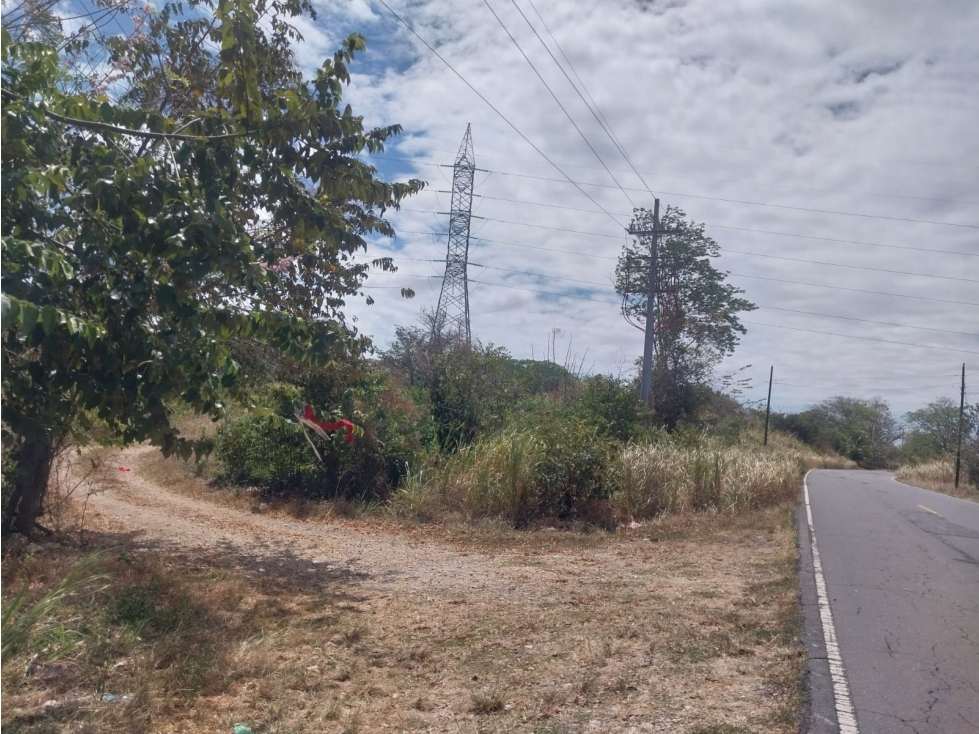 Terreno con 160+mts2 en frente a la via el Copé, Penonomé 2.1 HA - 6