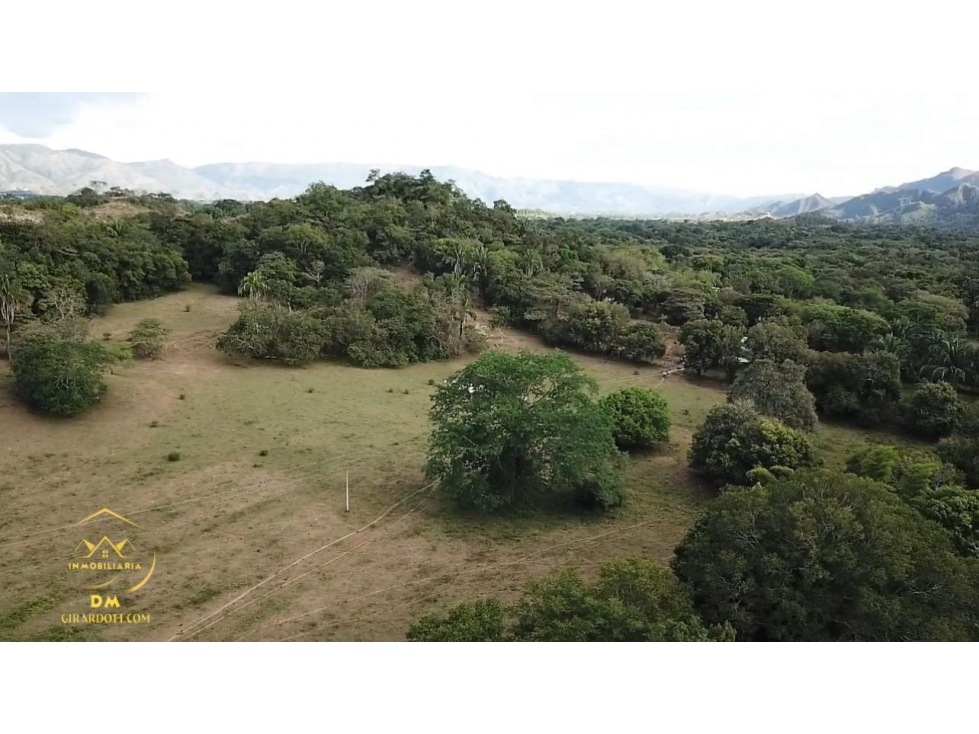 SE VENDE LOTE DE TERRENO VEREDA LA ANTIGUA (CARMEN DE APICALA 2) - 1