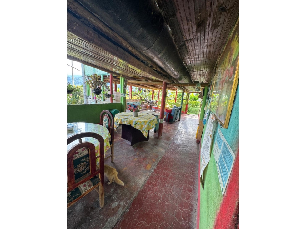 SE VENDE FINCA EN EL CORREGIMIENTO QUEBRADANEGRA,CALARCA QUINDIO - 3