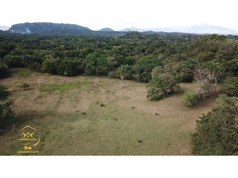 SE VENDE LOTE DE TERRENO VEREDA LA ANTIGUA (CARMEN DE APICALA 2) - 3