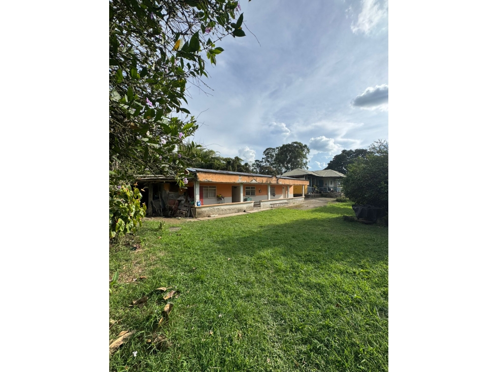 SE VENDE FINCA CULTIVADA EN PLANTANO EN LA VIRGINIA,CALARCA QUINDIO - 1
