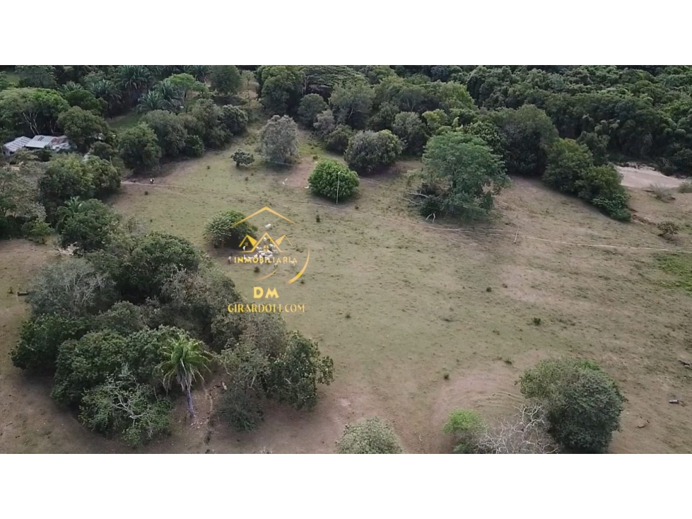 SE VENDE LOTE DE TERRENO VEREDA LA ANTIGUA (CARMEN DE APICALA 2) - 5
