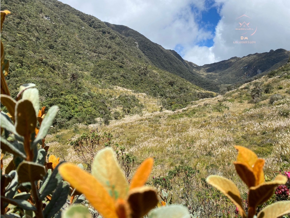 SE VENDE HERMOSA FINCA SOBRE LA CORDILLERA CENTRAL - 5