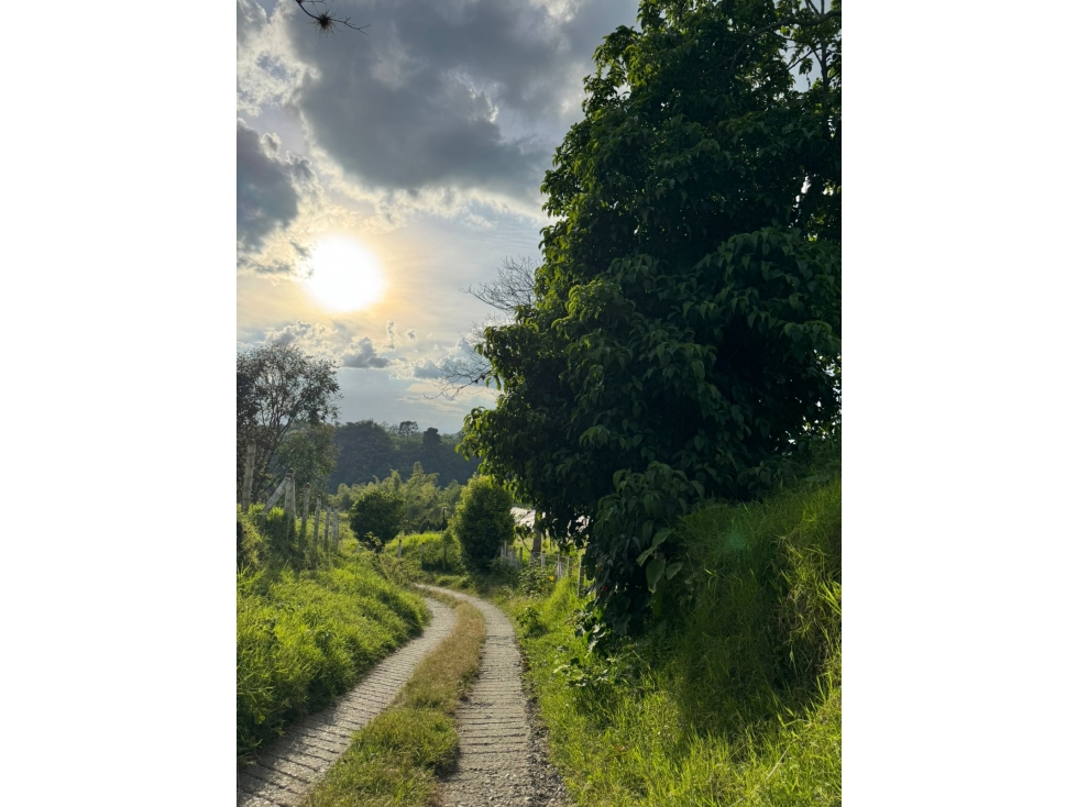 SE VENDE FINCA CULTIVADA EN PLANTANO EN LA VIRGINIA,CALARCA QUINDIO - 2