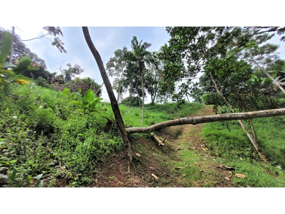 Terreno en Venta Bella Suiza, Cali — foto 3