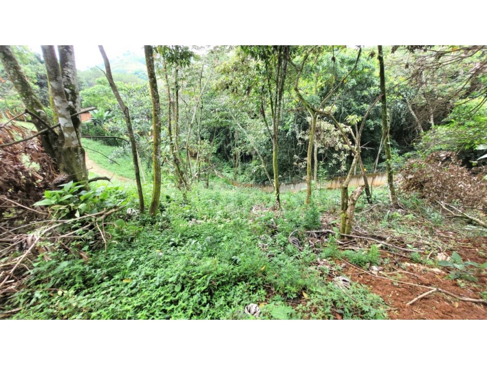 Terreno en Venta Bella Suiza, Cali — foto 5