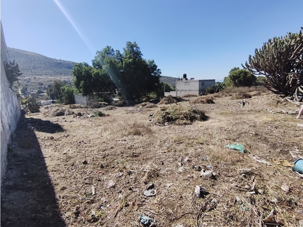 Se vende terreno en Barrio Casagrande, San Agustin Tlaxica, Hidalgo - 6