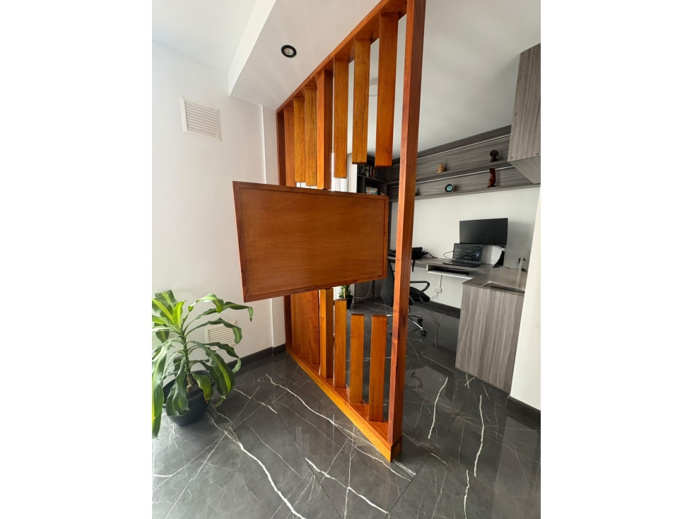 APARTAMENTO EN VENTA EN EL PLAN — foto 4