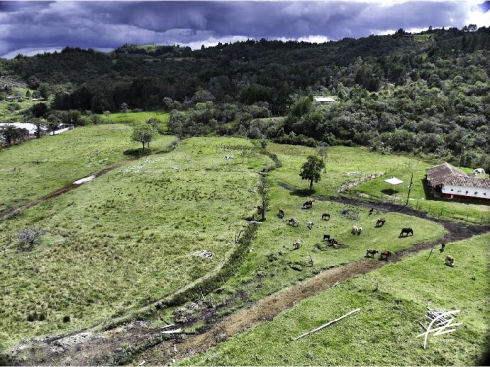 LOTES EN VENTA EN GUARNE, ANTIOQUIA — foto 2