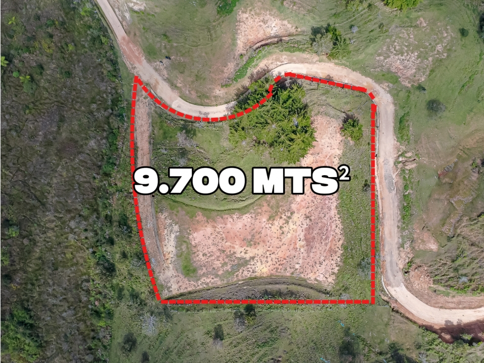 LOTE EN VENTA EN GUATAPÉ, ANTIOQUIA