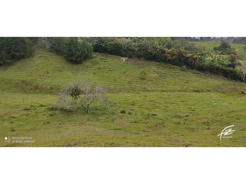 LOTE PARA LA VENTA EN RIONEGRO, ANTIOQUIA — foto 4