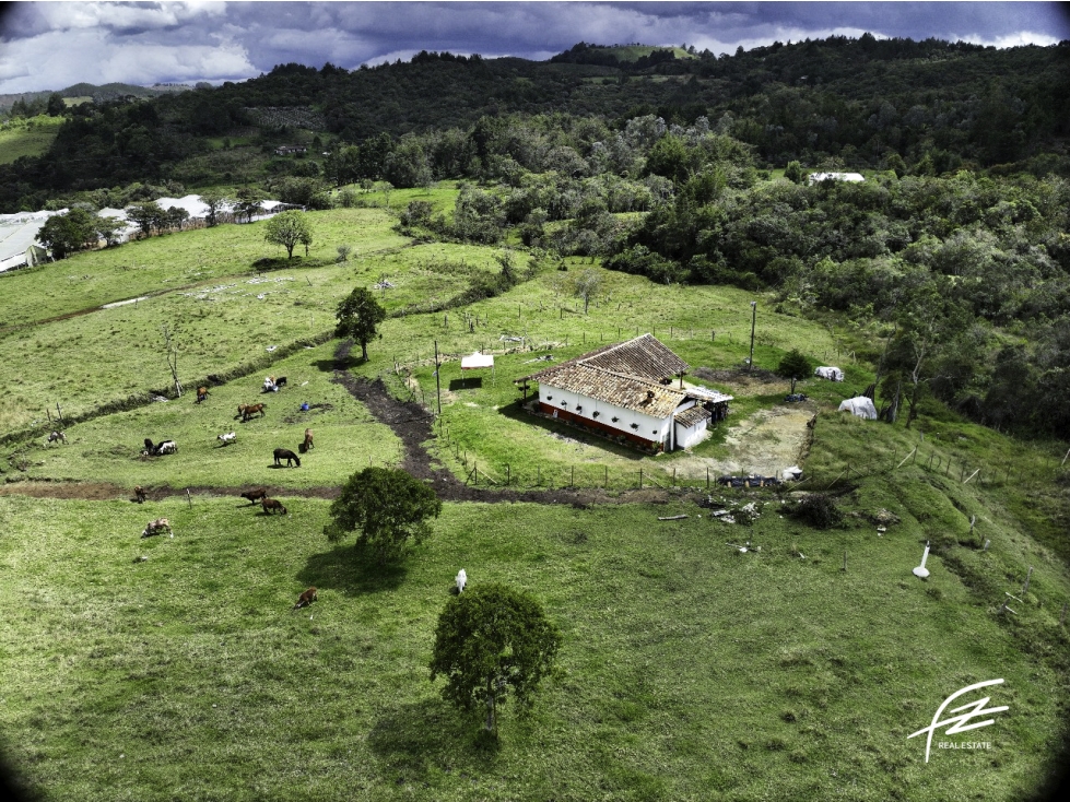 LOTES EN VENTA EN GUARNE, ANTIOQUIA