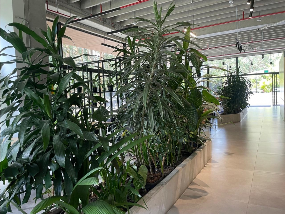 APARTAMENTO EN VENTA CONTREE PALMAS — foto 2