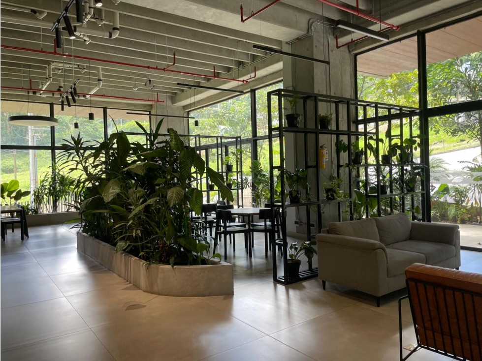 APARTAMENTO EN VENTA CONTREE PALMAS — foto 3