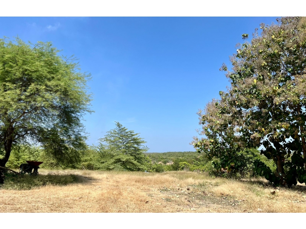 Vendo tierra agricola con infraestructura en Guayaquil — foto 3