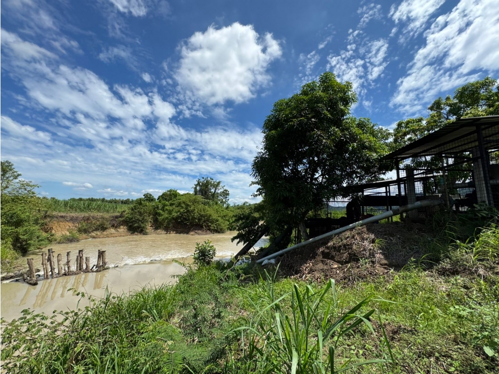 Vendo hacienda en sector CHURUTE GUAYAS - 3