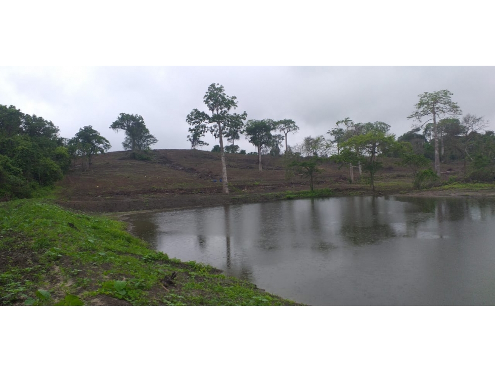 Vendo terreno agroforestal en el sector de Santa Elena - 2