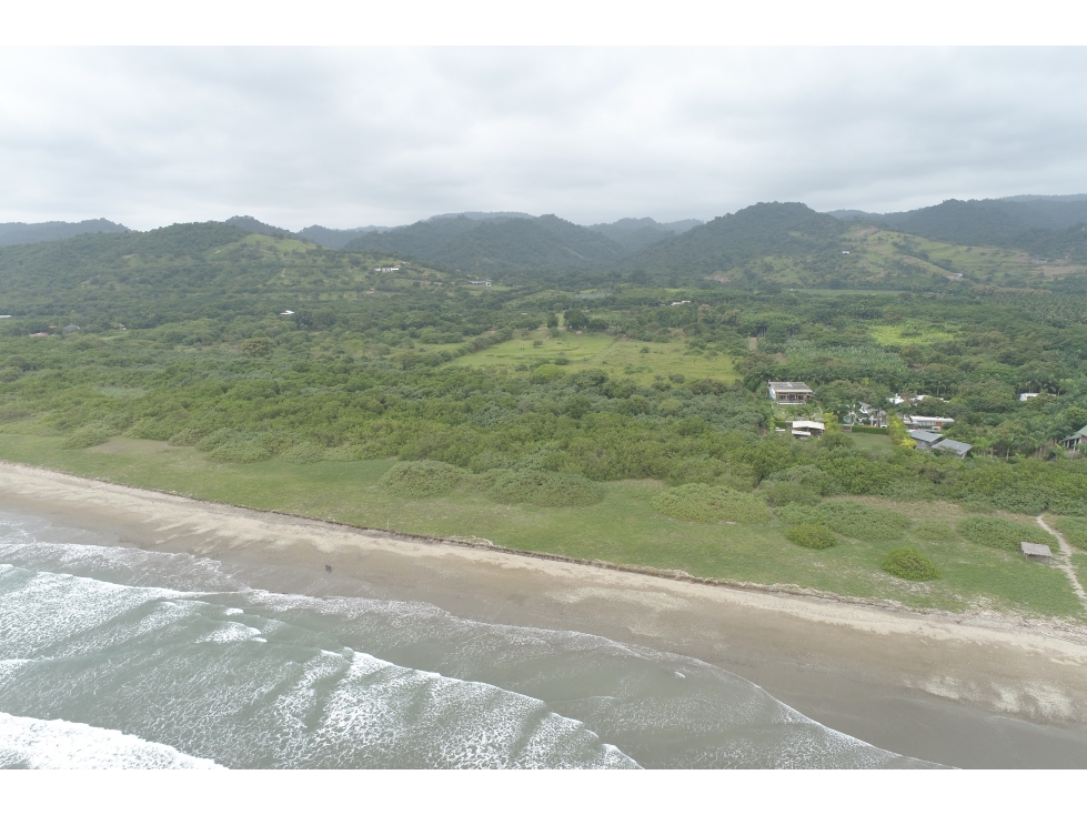 Vendo macrolote de 20 ha en sector de Ayampe Ecuador - 2