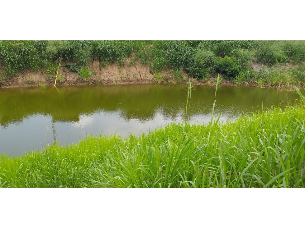 Vendo terreno agroforestal en el sector de Santa Elena - 6