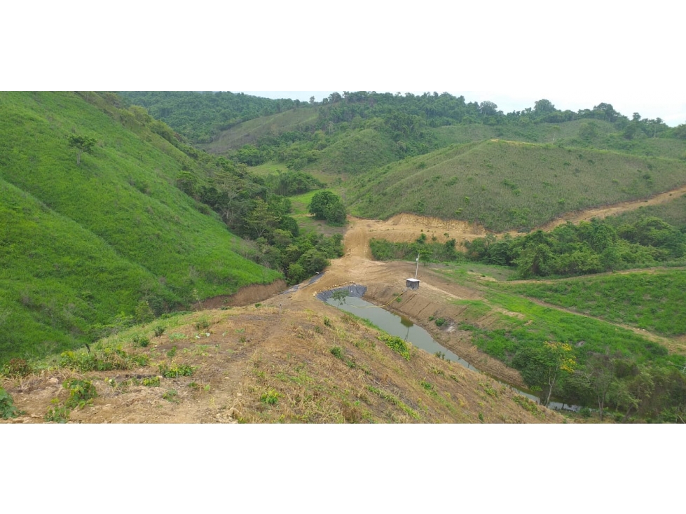 Vendo terreno agroforestal en el sector de Santa Elena - 3