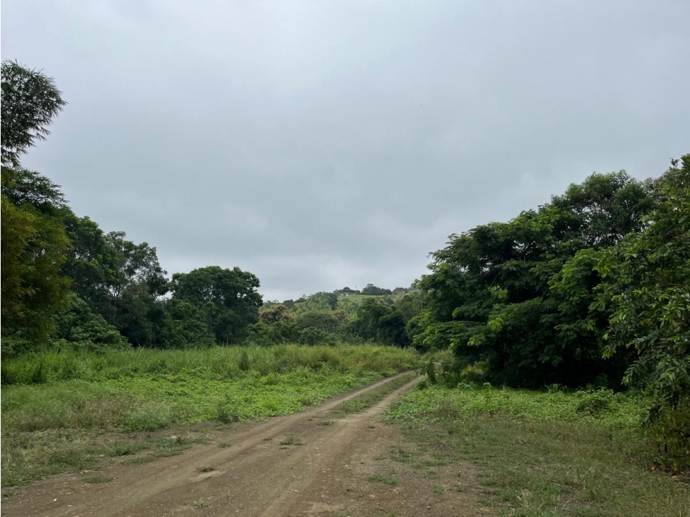 Vendo lotizacion ecologica en Ayampe Ecuador - 1