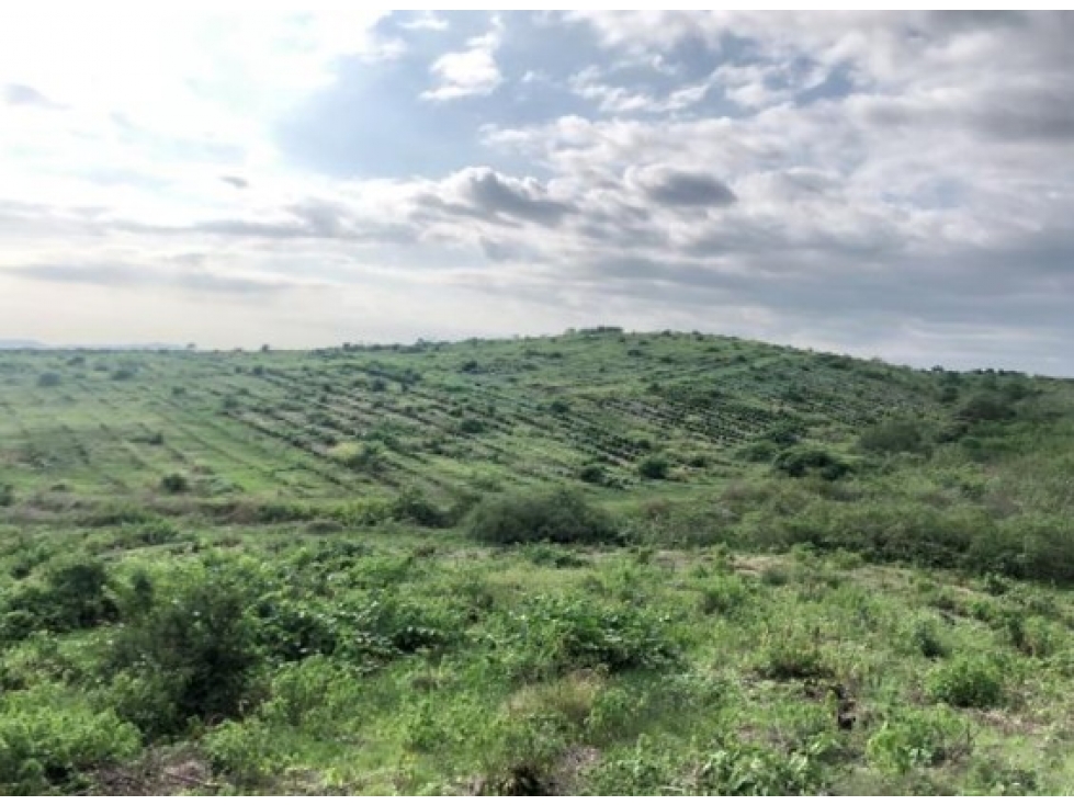 Vendo tierra agricola con infraestructura en Guayaquil