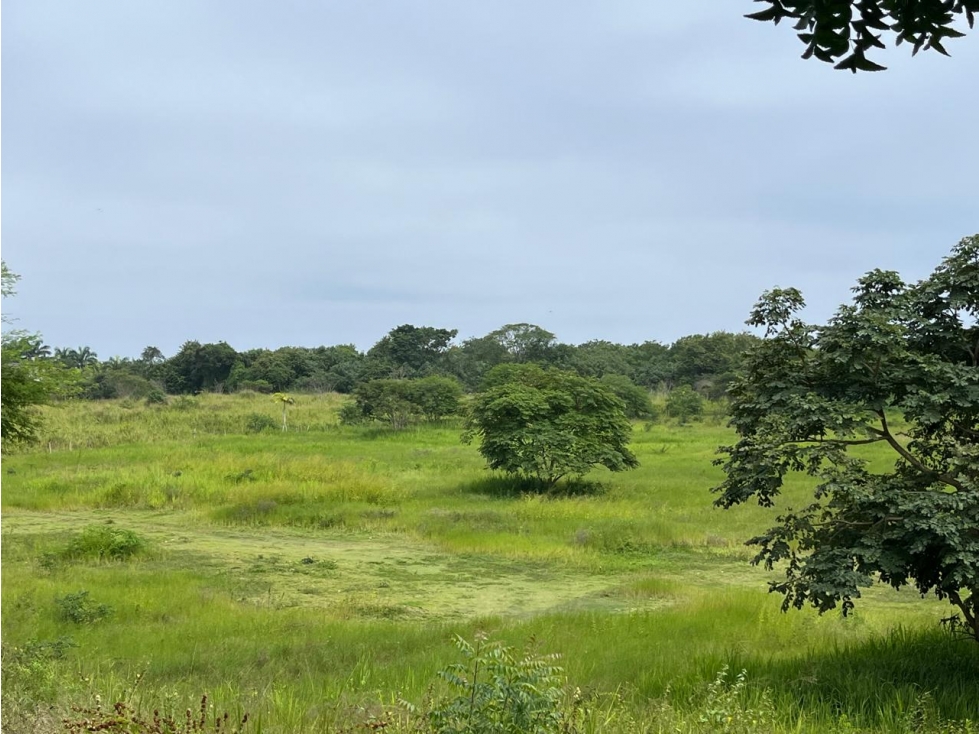 Vendo macrolote de 20 ha en sector de Ayampe Ecuador - 4