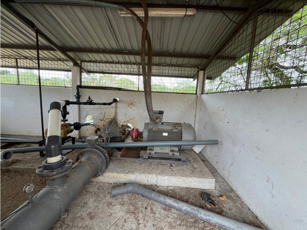 Vendo tierra agricola con infraestructura en Guayaquil — foto 6