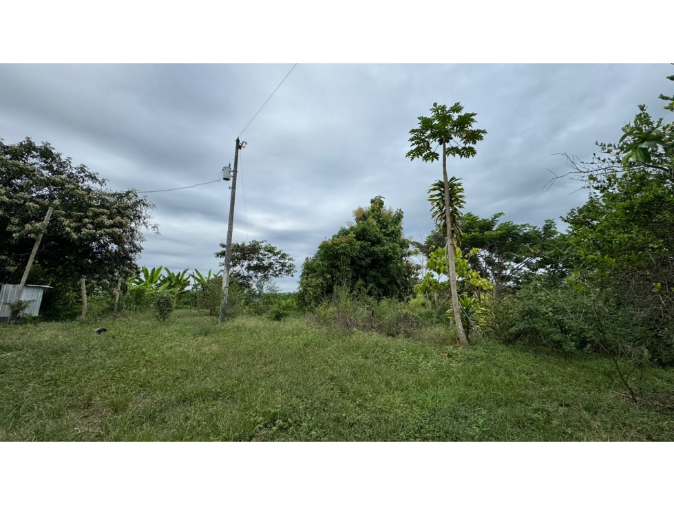 Vendo macrolote en la zona del km 22 via a la costa Guayaquil — foto 4