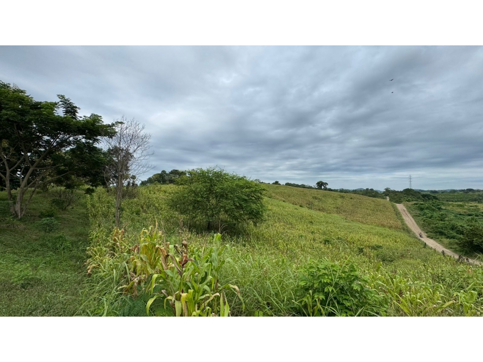 Vendo macrolote en la zona del km 22 via a la costa Guayaquil — foto 2