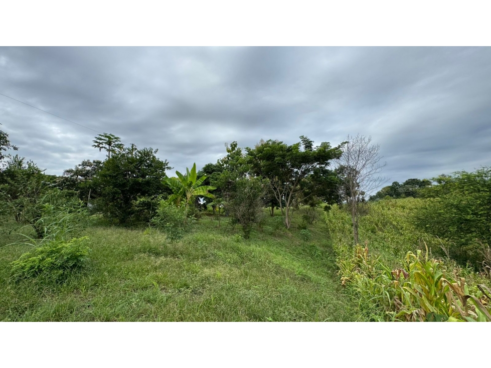Vendo macrolote en la zona del km 22 via a la costa Guayaquil — foto 5