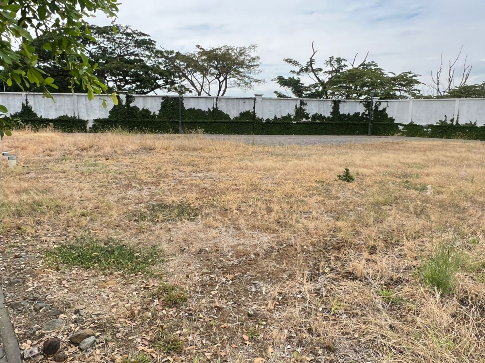 Vendo terreno residencial en Aires Norte Samborondon - 6