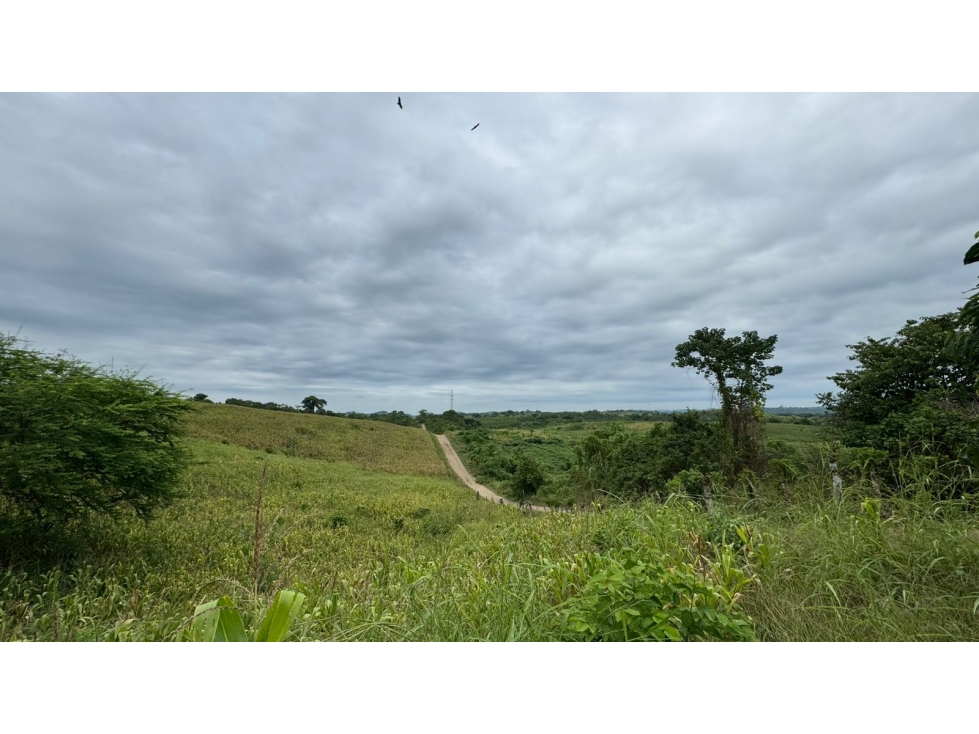 Vendo macrolote en la zona del km 22 via a la costa Guayaquil — foto 6