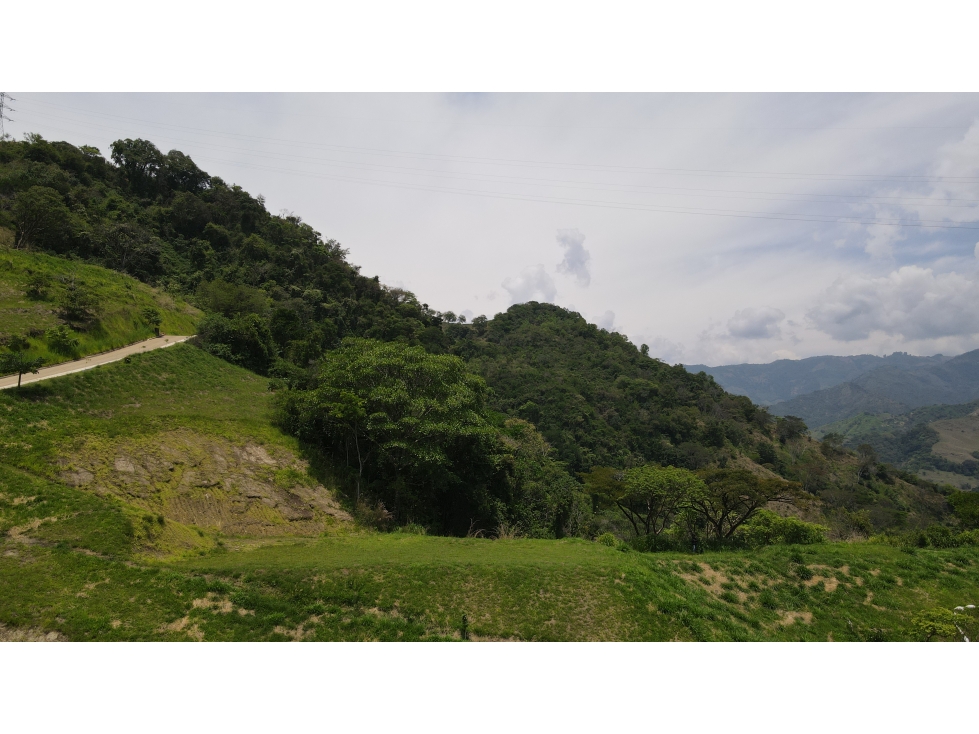 VENTA DE LOTE SALGAR SUROESTE ANTIOQUEÑO - 1