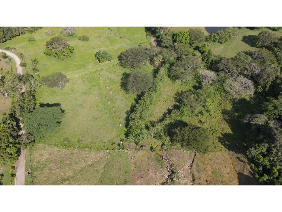 VENTA DE LOTE EN LA PINTADA SUROESTE ANTIOQUEÑO — foto 4