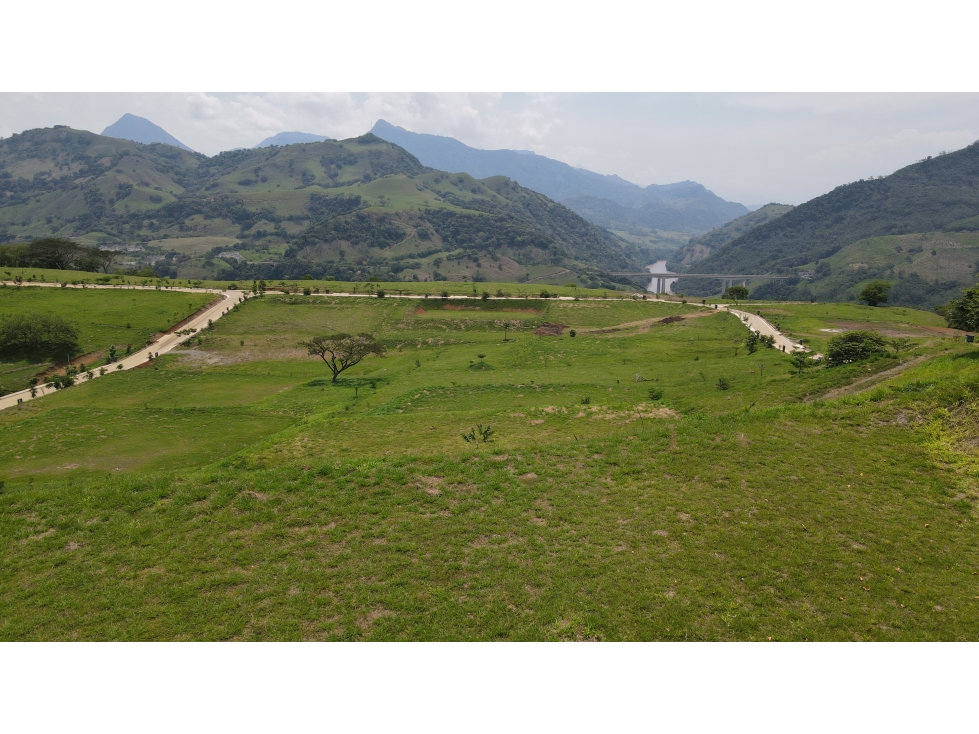 VENTA DE LOTE SALGAR SUROESTE ANTIOQUEÑO - 3