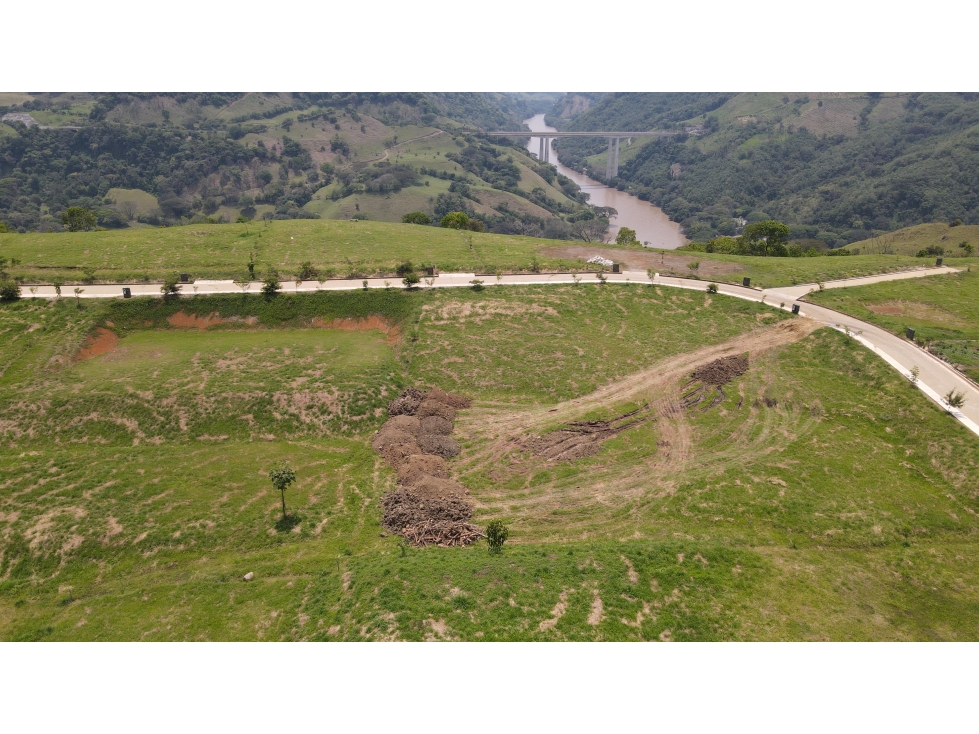 VENTA DE LOTE SALGAR SUROESTE ANTIOQUEÑO - 4