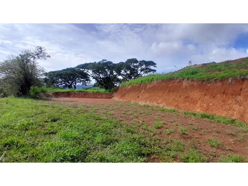VENTA DE LOTE SALGAR SUROESTE DE ANTIOQUIA - 3