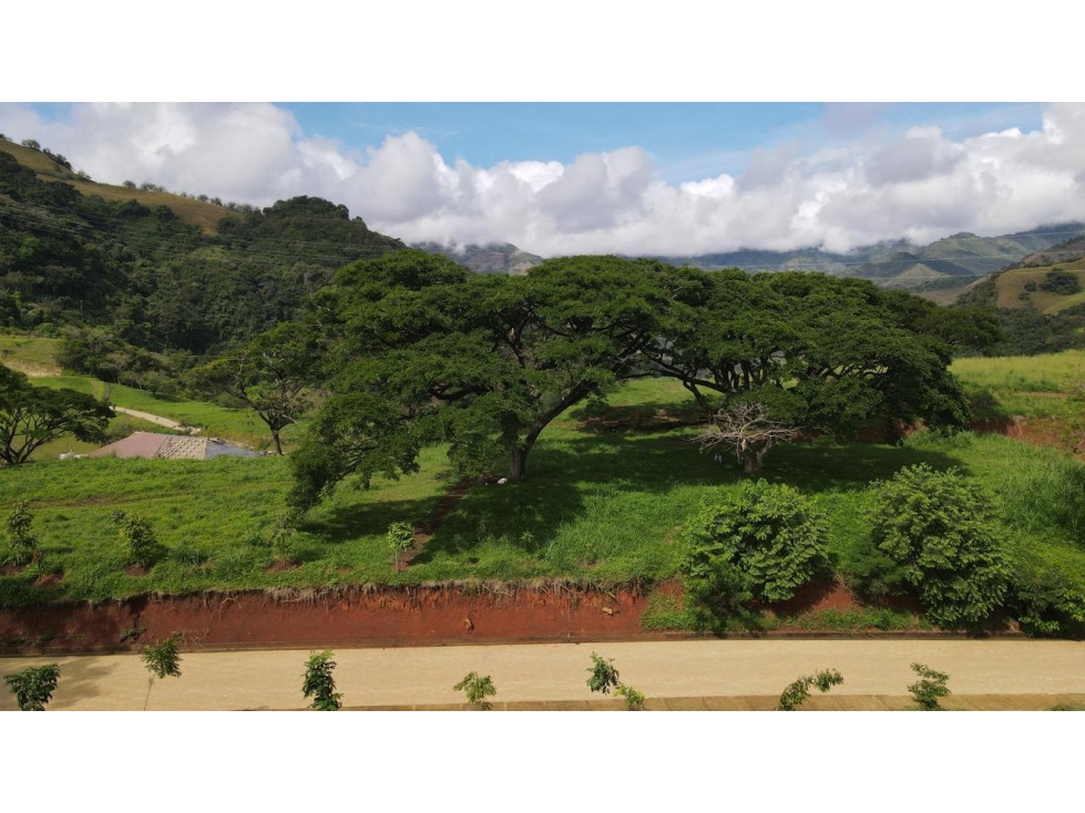 VENTA DE LOTE SALGAR SUROESTE DE ANTIOQUIA - 4