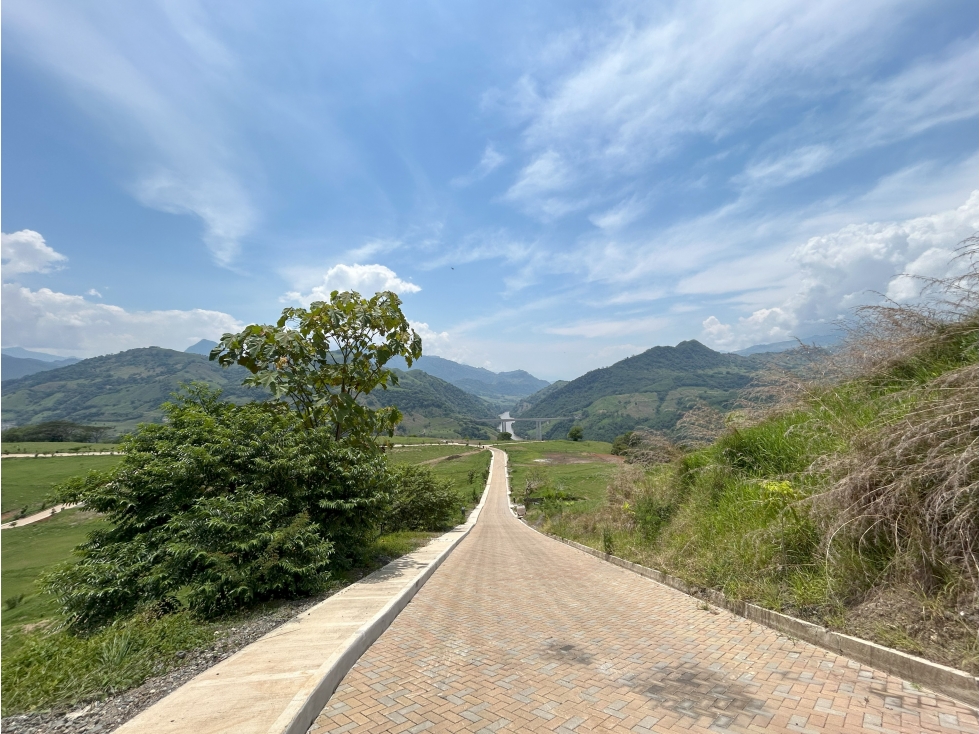 VENTA DE LOTE SALGAR SUROESTE DE ANTIOQUIA - 5