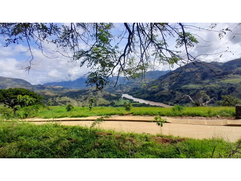 VENTA DE LOTE SALGAR SUROESTE DE ANTIOQUIA - 2