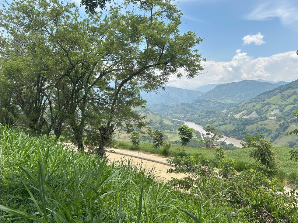 VENTA DE LOTE SALGAR SUROESTE DE ANTIOQUIA - 6