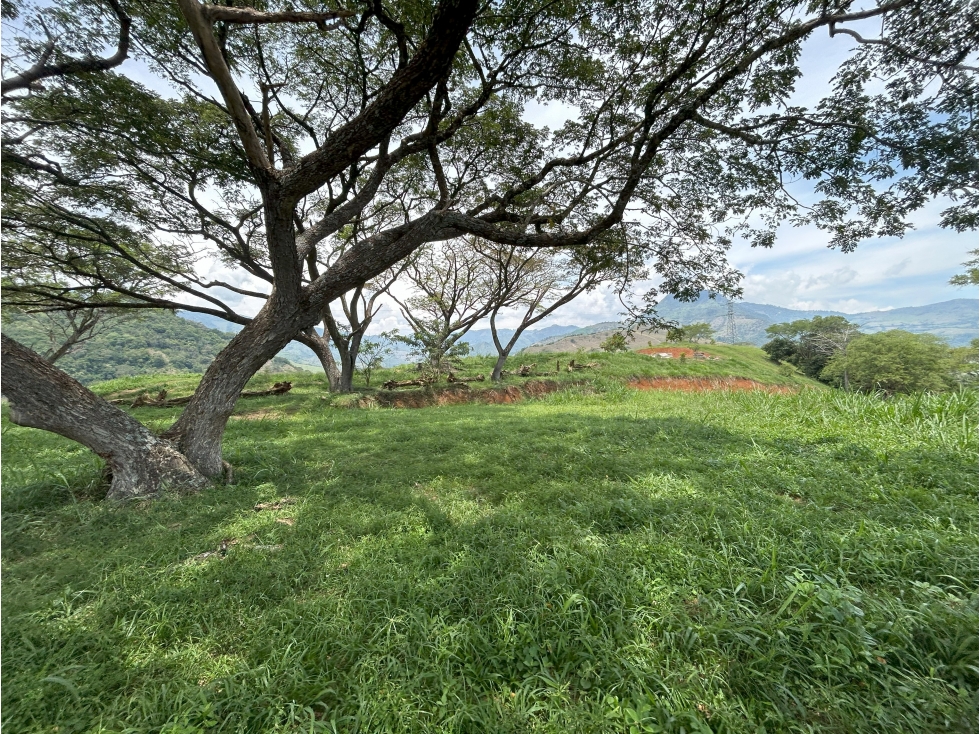 VENTA DE LOTE SALGAR SUROESTE DE ANTIOQUIA - 1