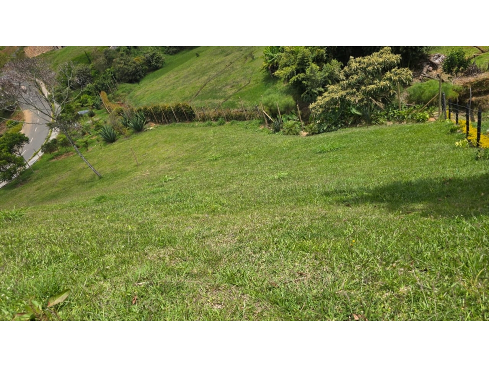 Lote de 3.315 m² en El Tablazo, Rionegro - 37 min de Medellín — foto 4