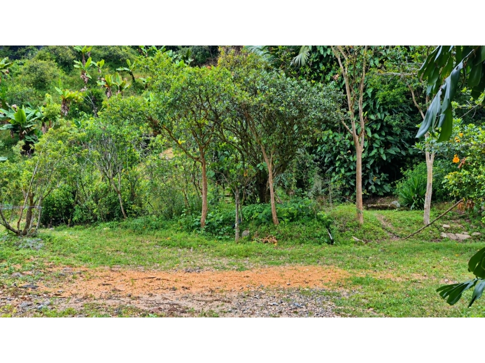 Lote en venta Medellín, san Cristóbal, con nacimiento de agua — foto 6