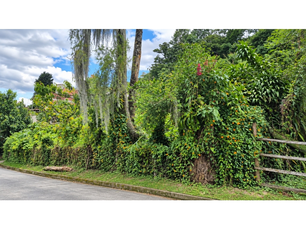 Lote en venta Medellín, san Cristóbal, con nacimiento de agua — foto 4