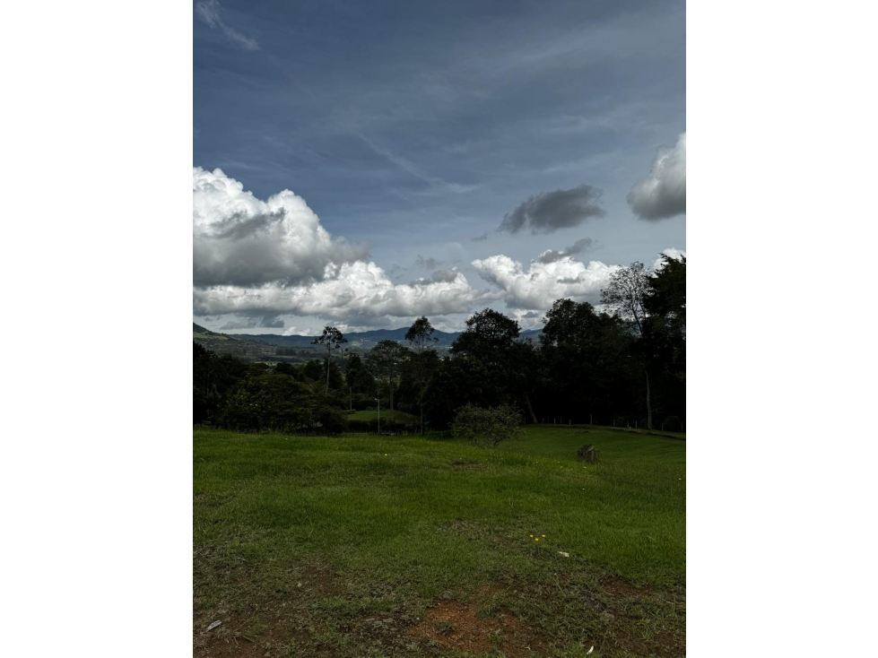 Lote en La Ceja, campestre en parcelación Con Agua de nacimiento — foto 4