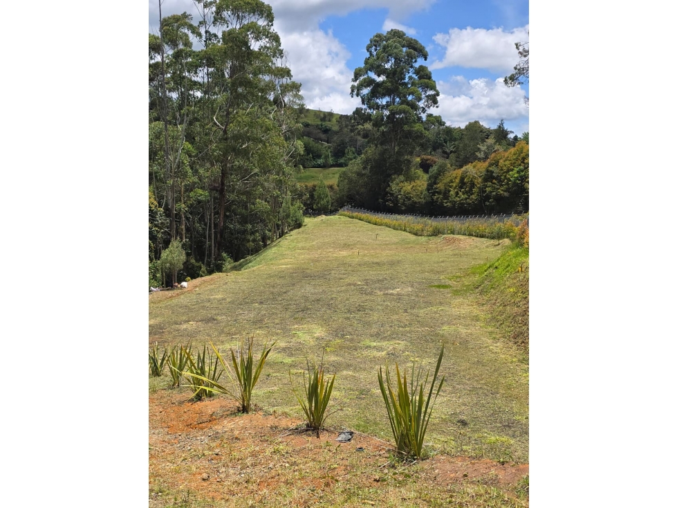Lote de 4.500 m² en El Tablazo, Rionegro Cerca al Túnel y Hospital — foto 3