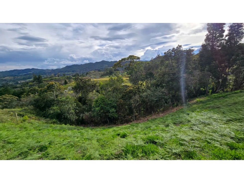 Lote de 2.774 m² en El Tablazo, Rionegro - 9 min del Aeropuerto — foto 4